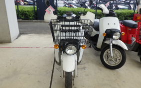 HONDA BENLY 50 AA05