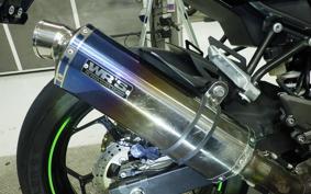 KAWASAKI NINJA 250 SL