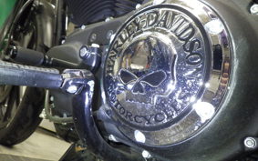 HARLEY XL883N 2019