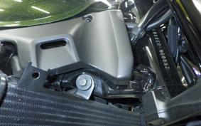 KAWASAKI Z900RS 2024