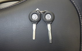 OTHER +ENFIELD ﾒﾃｵ350 2024