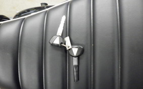 KAWASAKI W800 2021 EJ800E