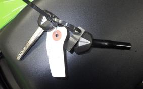 KAWASAKI ZX-25RR ZX250H