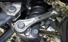 KAWASAKI ZZ-R250 2022 EX250H