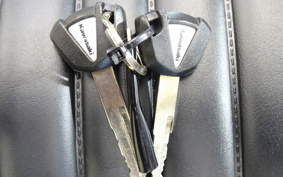 KAWASAKI Z900RS 2022 ZR900C