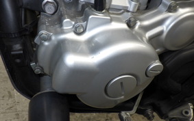 YAMAHA WR250X 2022 DG15J
