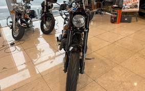 HARLEY XL1200CX 2018 LM3