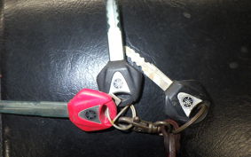 YAMAHA XJR1300 RP03J