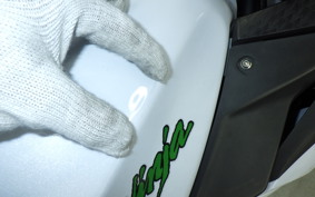 KAWASAKI NINJA 250 2022 EX250L