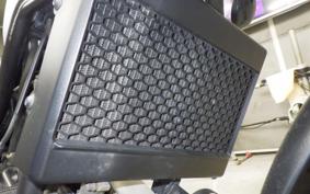 HONDA REBEL 250 A 2026 MC49