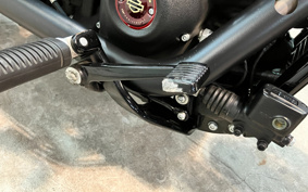 HARLEY FXBBS 2023 YYK