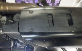 DUCATI DIAVEL X 2016