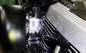 OTHER +UNREGISTERED MODEL by BDS250