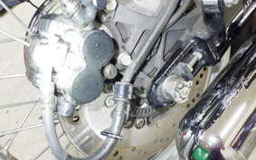 KAWASAKI W800 2020 EJ800B
