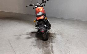 HARLEY X500 W5B