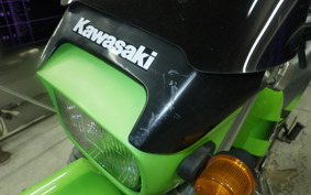 KAWASAKI SUPER SHERPA 2026 KL250G