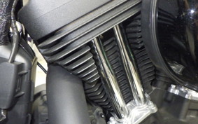 HARLEY XL1200NS 2018