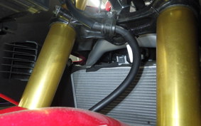HONDA CBR250RR A 2024 MC51