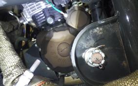 OTHER UNREGISTERED MODEL by BDS TRIKE250