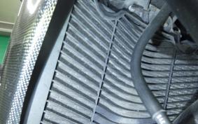 YAMAHA FZ1 FAZER 2008 RN21J