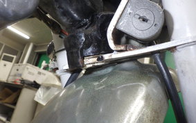 HONDA MONKEY 2024 Z50J