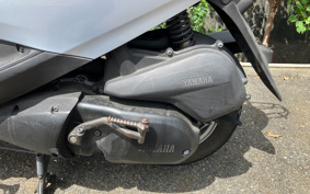 YAMAHA AKUSHI STREET SE53J
