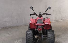 OTHER  BUGGY 50CC ..