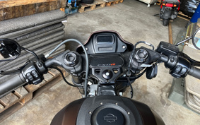 HARLEY HARLEY FXDRS 2019 YVK