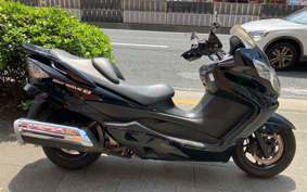 SUZUKI SKY WAVE 250 TYPES