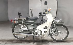 HONDA SUPER CUB50 C50