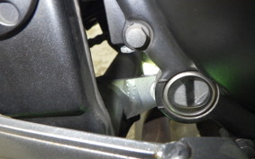 KAWASAKI NINJA 250 EX250L