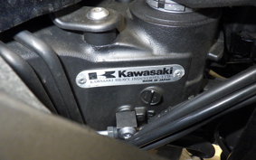 KAWASAKI NINJA 1000SX 2020 ZXT02K