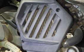 HONDA TACT-4ﾍﾞｰｼｯｸ 2024 AF75
