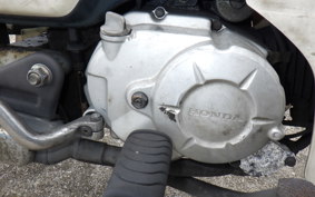 HONDA C50 SUPER CUB 2025 AA09