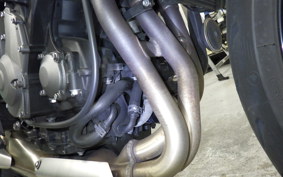 TRIUMPH TRIDENT 660 2021