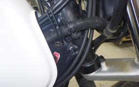 YAMAHA TW225 2025 DG09J