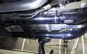 HARLEY XL883N 2020
