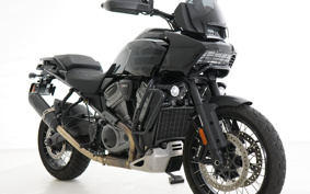 HARLEY HARLEY  PAN  AMERICA 1250 SPECIAL 2021 ZES