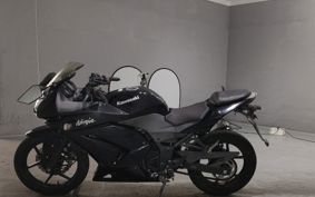 KAWASAKI NINJA250R EX250K