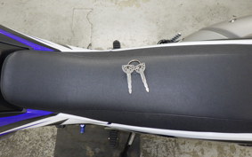 YAMAHA WR250X DG15J