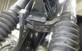 KAWASAKI W800 2014 EJ800A