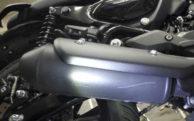 OTHER +ENFIELD HUNTER350 2025