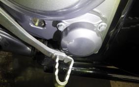 HONDA CRF250 RALLY 2010 MD44