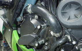 KAWASAKI ZX 10 NINJA R 2013