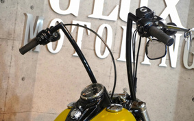 HARLEY FLS 2014 JR5