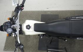 YAMAHA TW225 2015 DG09J