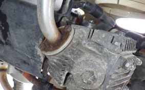 HONDA LITTLE CUB E AA01