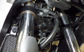 KAWASAKI VERSYS X250 A LE250D