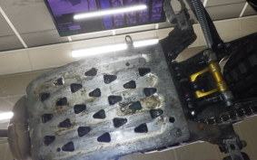 SCORPA SCORPA300SC-F 2025