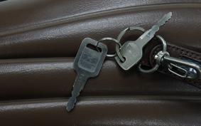 KAWASAKI ESTRELLA RS BJ250A